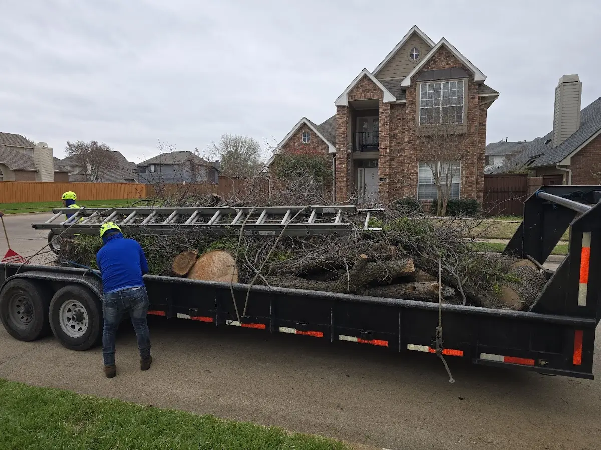 Expert Lot Clearing with proper safety equipment in Comanche